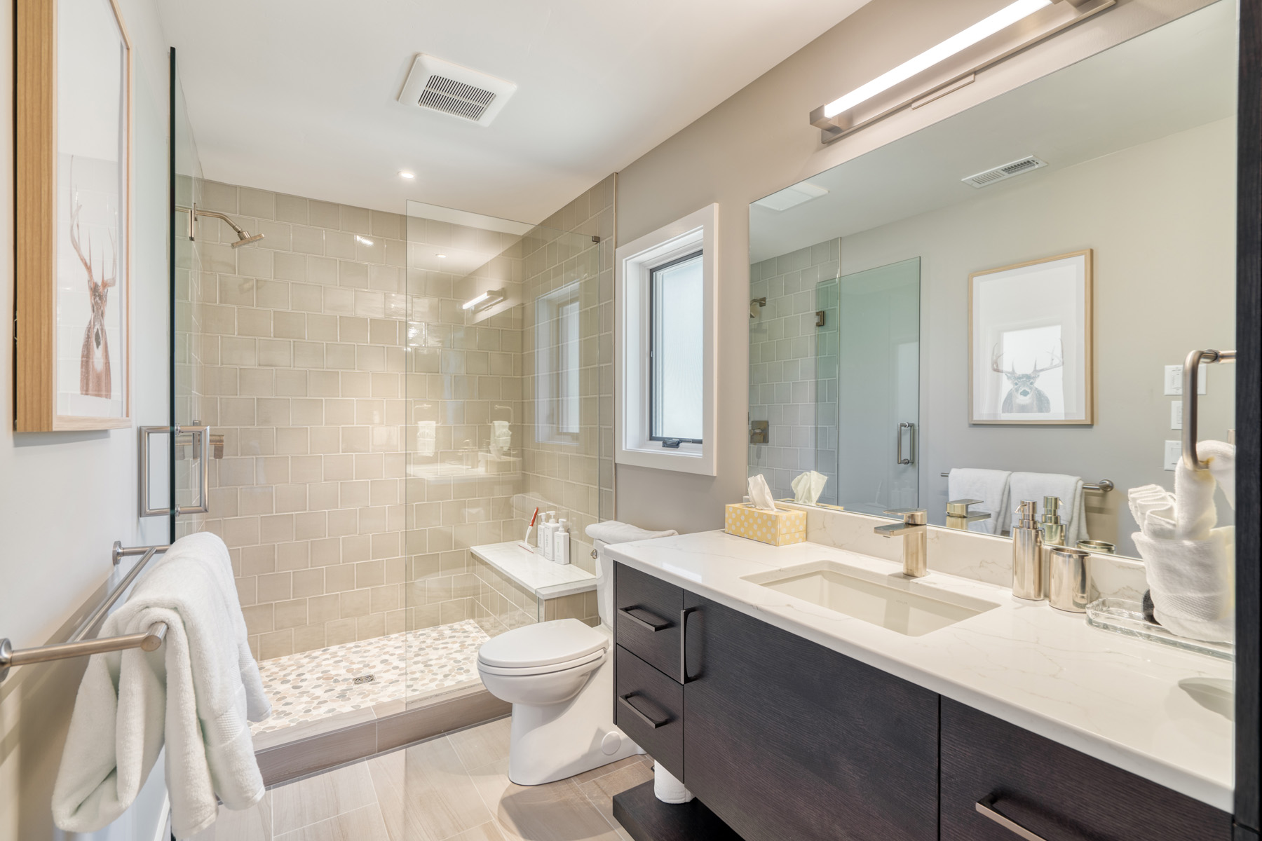 Guest bath